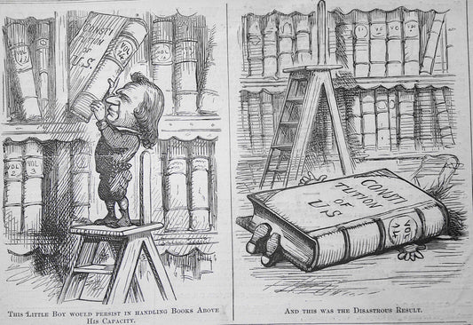 [President Andrew Johnson]  2 cartoons by Nast - Harper's Weekly, March 21, 1868