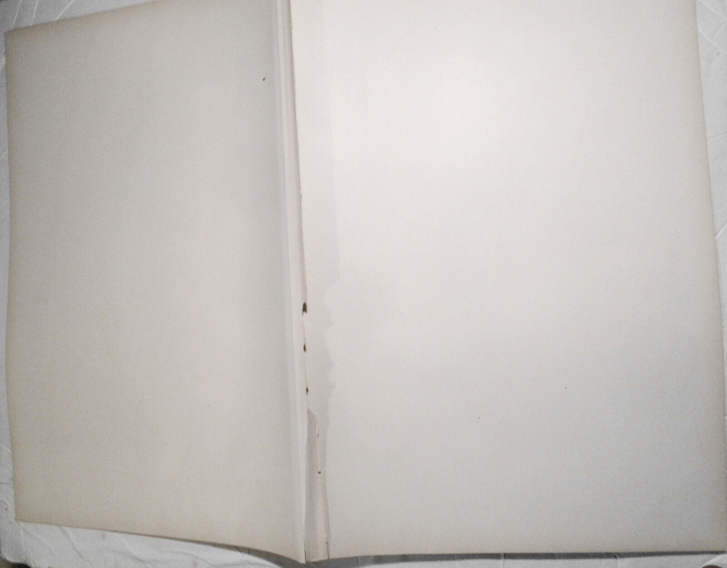 Damenpensionat auf der Eisbahn, by Hans Dahl  --  1886 - 22x16" original