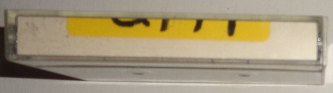 SAM I AM - Rare Rock Demo Cassette 1991 - Stand For Something, Fate & Mystery...