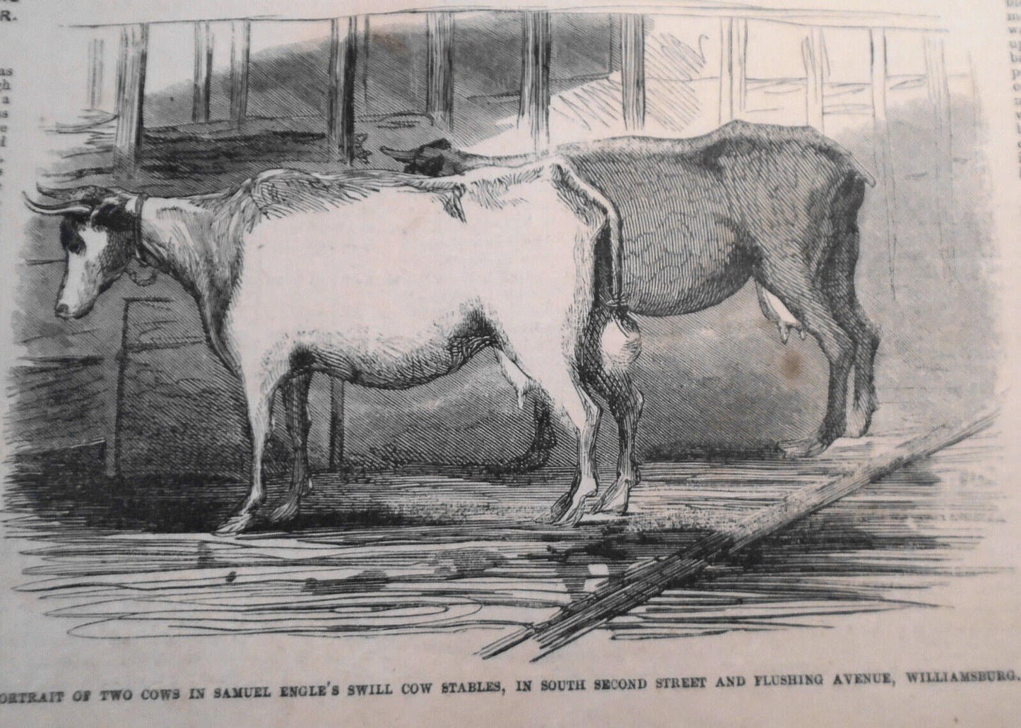 Swill Cow Stables, North Fifth Street Williamsburg - Frank Leslie's June 19,1858