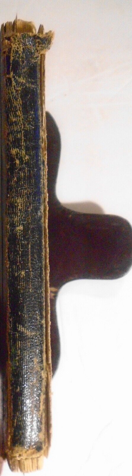 Physician's Hand-Book of Practice 1859 of Dr Smith Ely, Newburgh 1860-66 records