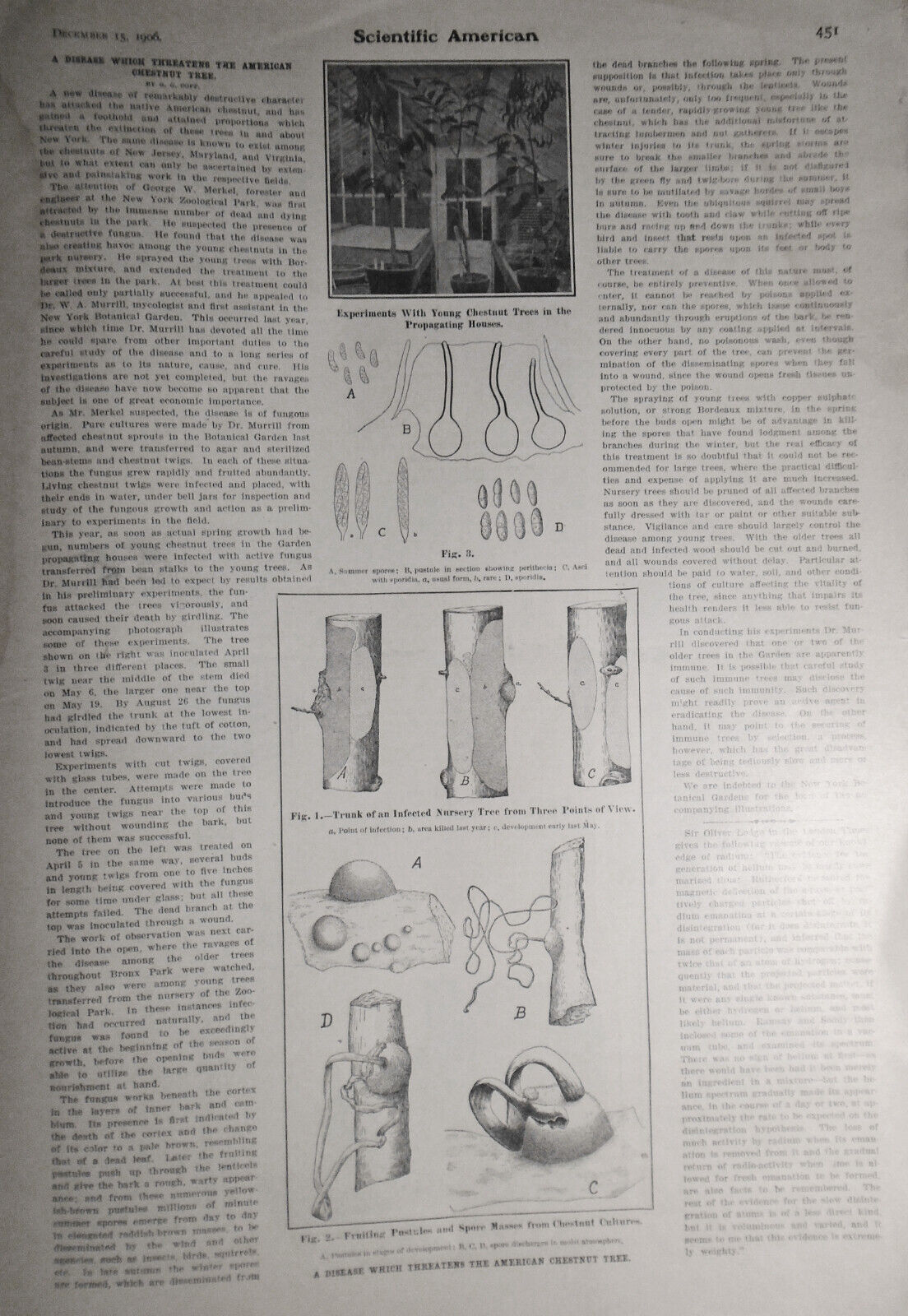 Scientific American December 15, 1906 - First Successful Aeroplane (Wright), etc