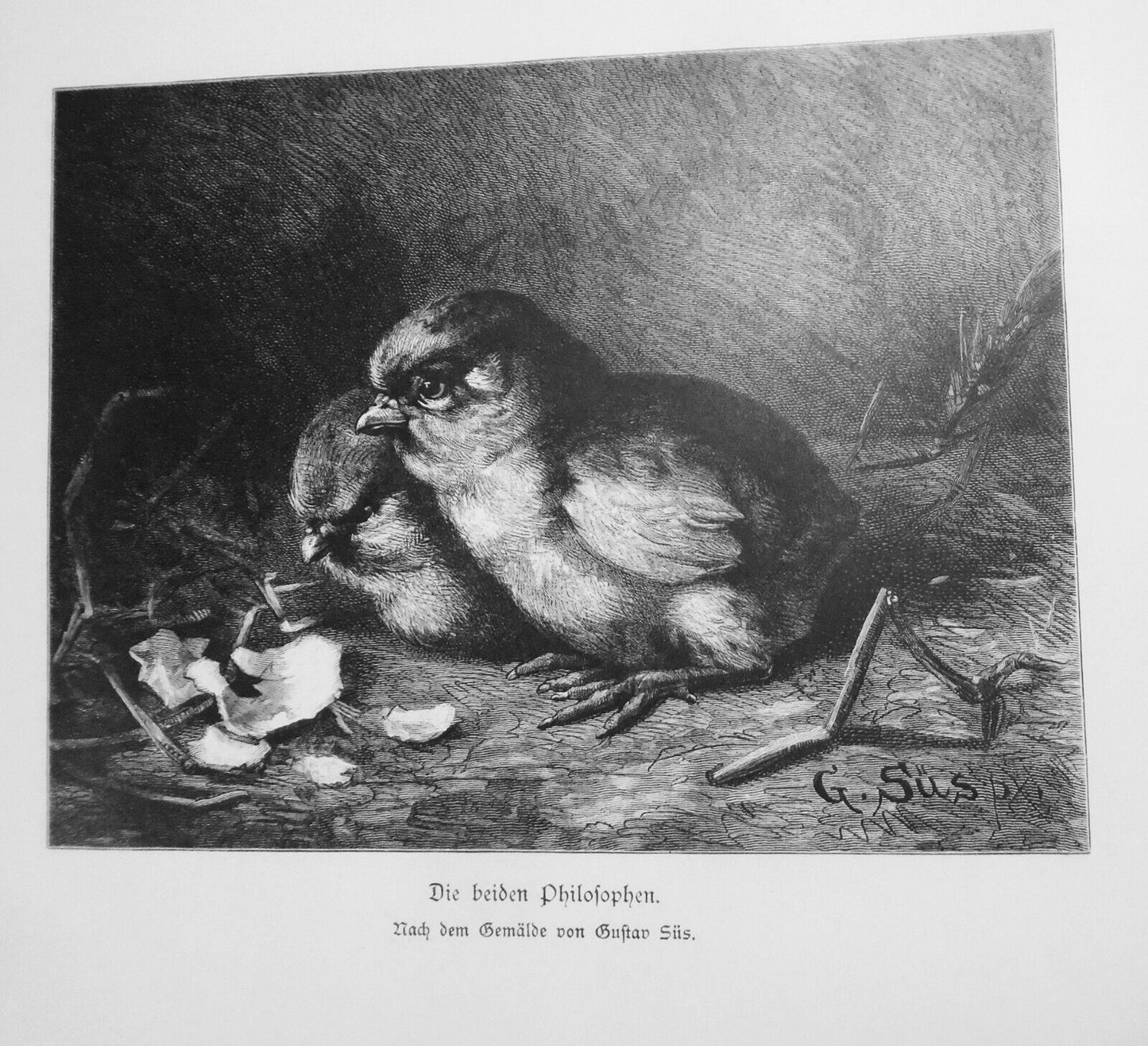 Die Beiden Philosophen, by Sus & Der Erste Maikafer, by Edwards - 1884 Original
