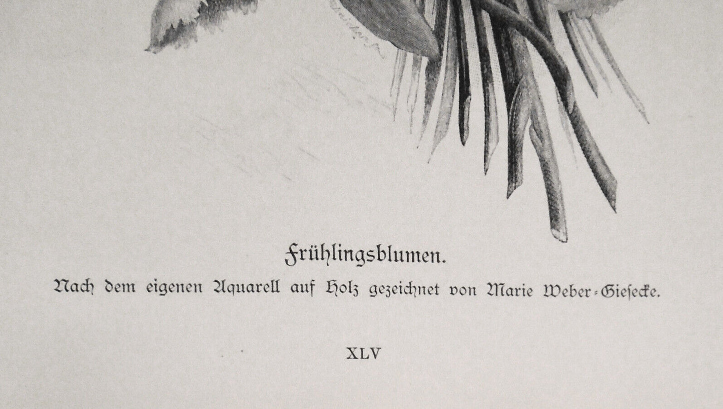 Frühlingsblumen, by Marie Weber Giesecte  --  1882