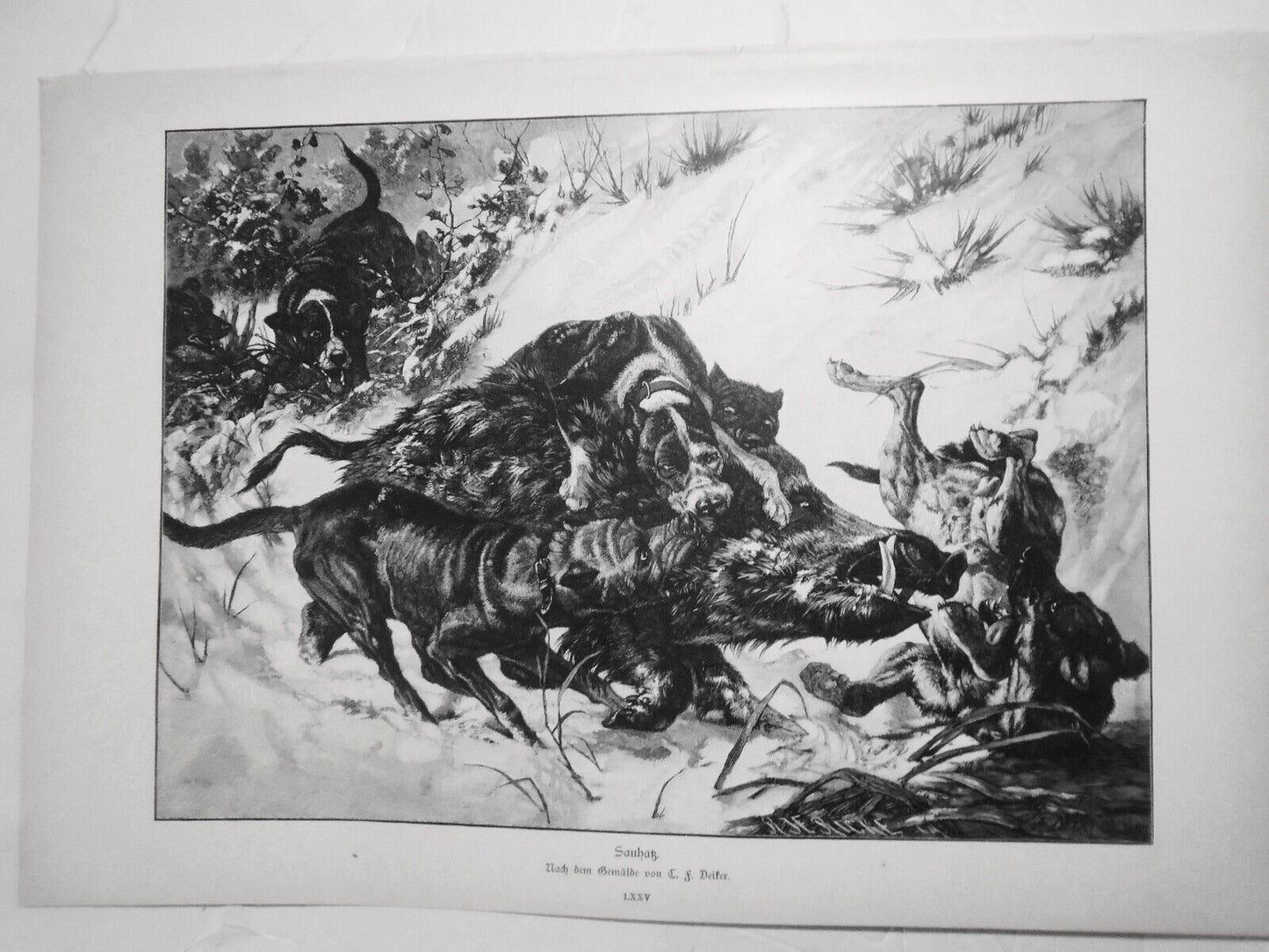 Sanhatz, by C. F. Dieter --  1886.