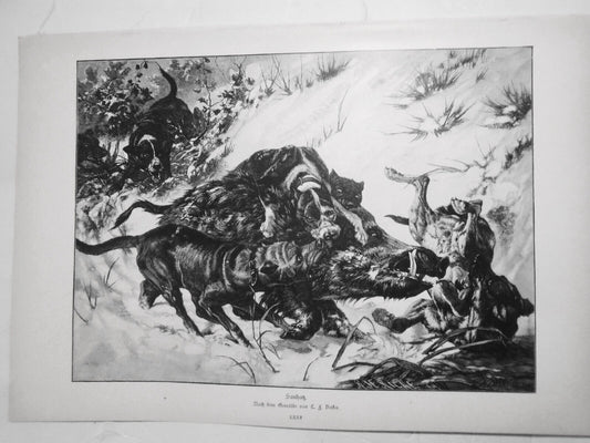 Sanhatz, by C. F. Dieter --  1886.