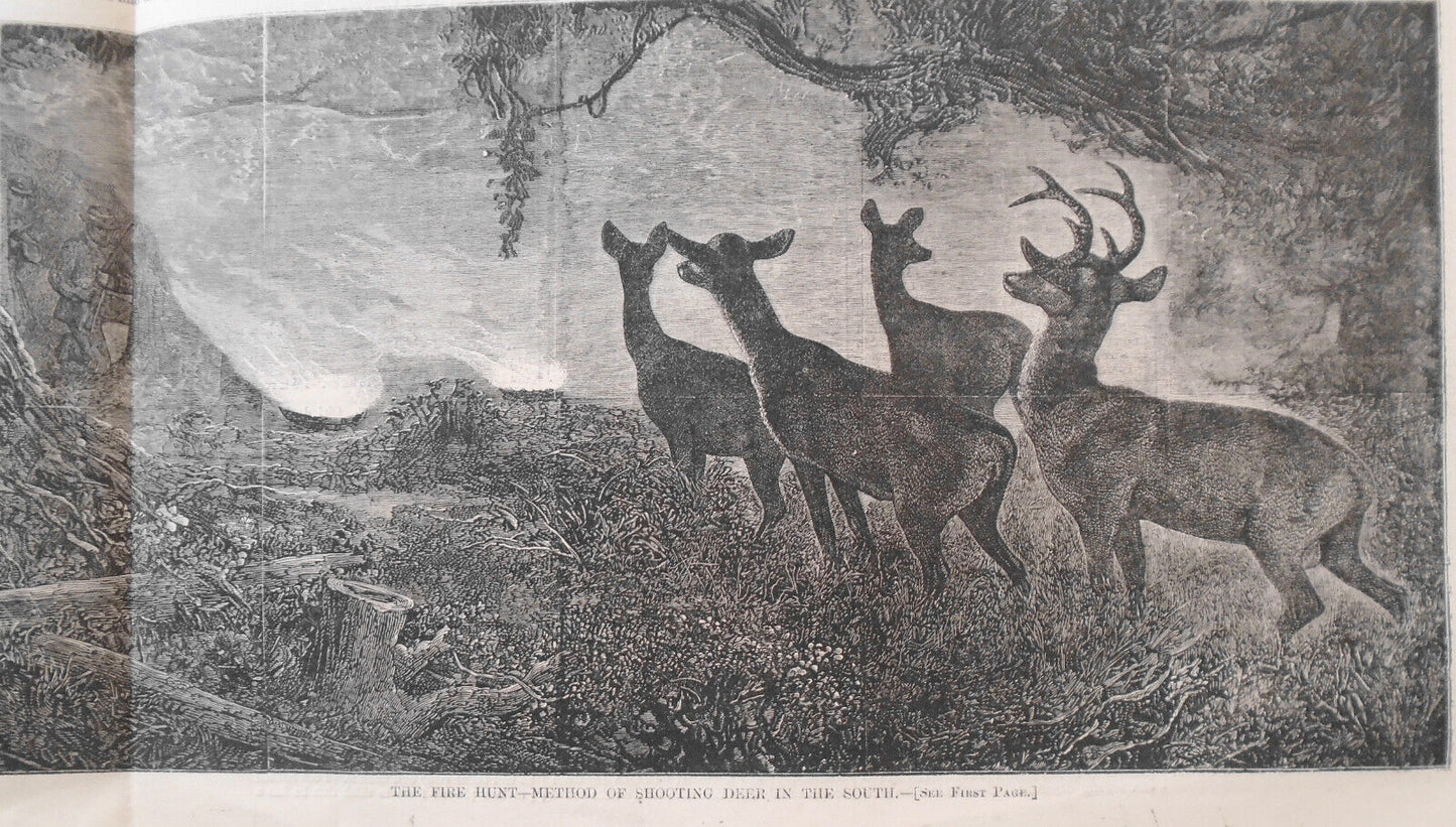 St. Thomas, West Indies / Shooting Buffalo & Deer - Harper's Weekly Dec 14 1867