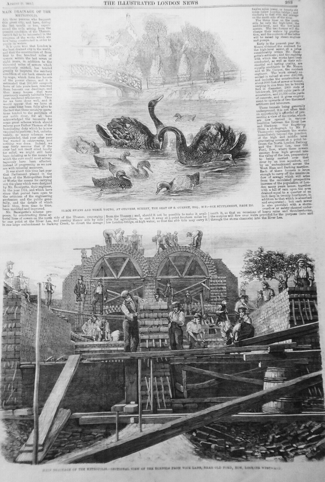 The Illustrated London News, August 27, 1859 - Army of Italy in Paris; fetes etc