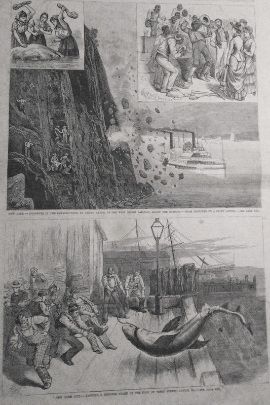 Construction By Negro Labor Of West Shore Railway; Monster Shark - Leslie's 1881