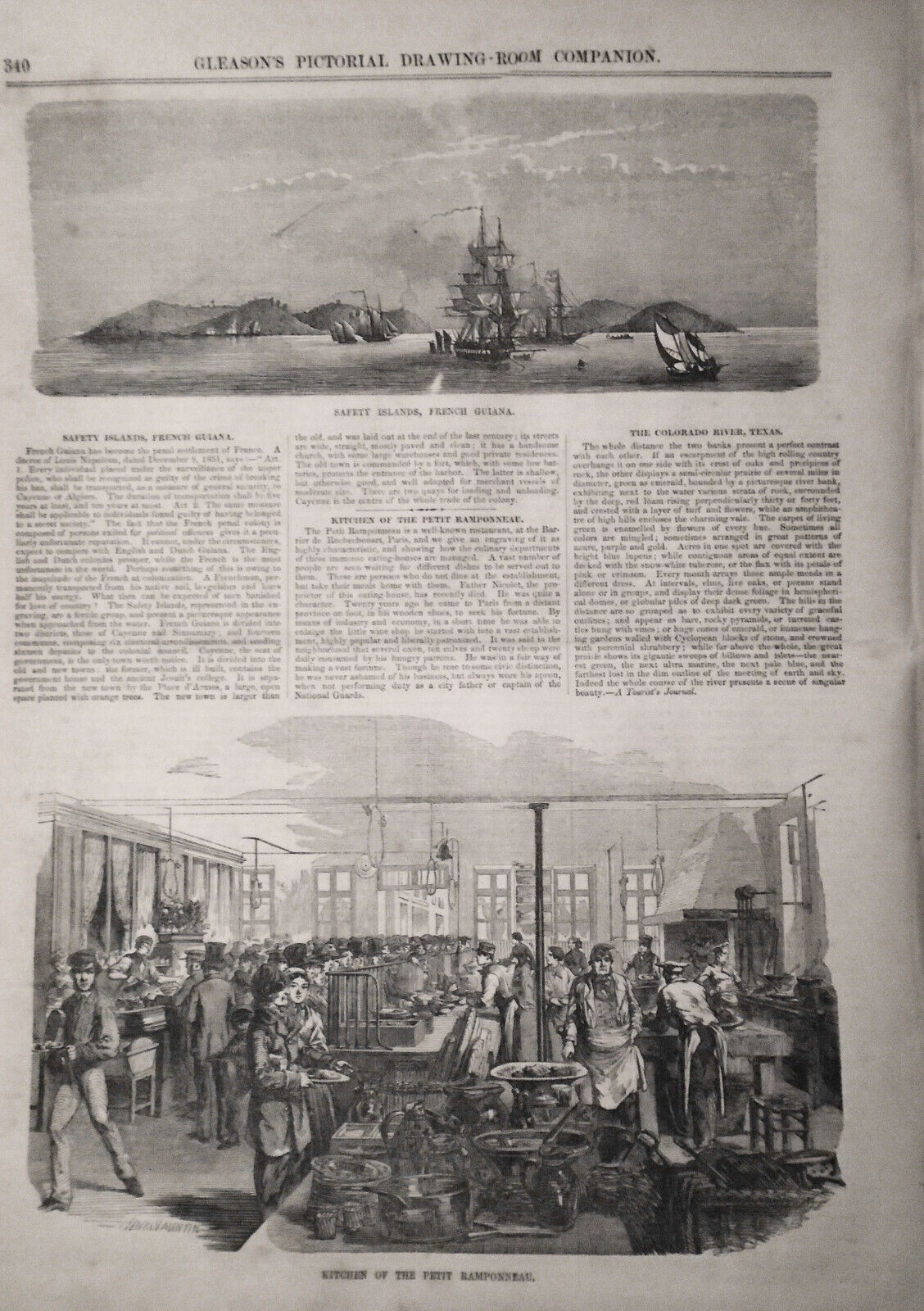 Gleason's Pictorial, June 3, 1854 - Blue-fish; Brigham Young; French uniforms..
