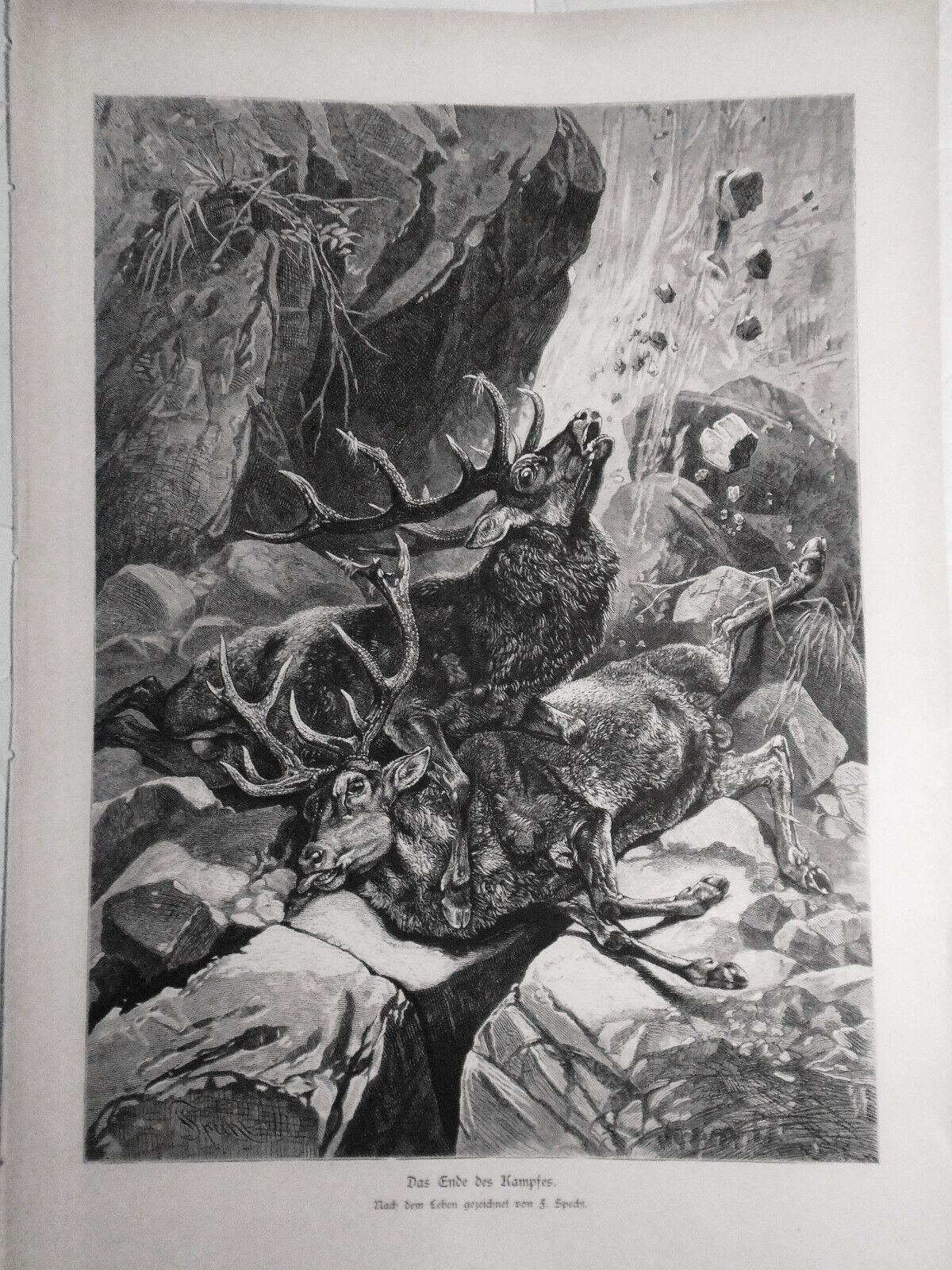 Das Ende des Kampfes, by  F. Specht   --  1882