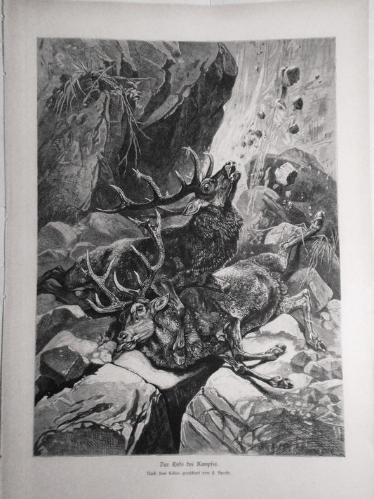 Das Ende des Kampfes, by  F. Specht   --  1882