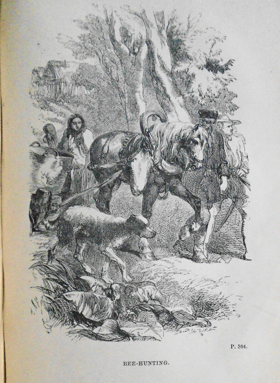 Captain Marryat : The settlers in Canada : written for young people - 1860