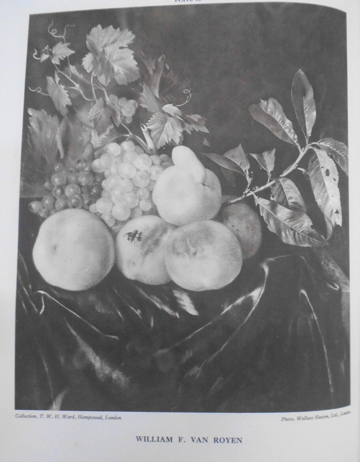 1928 Dutch & Flemish Fruit & Flower Painters of  17th & 18th Centuries - 1st ed