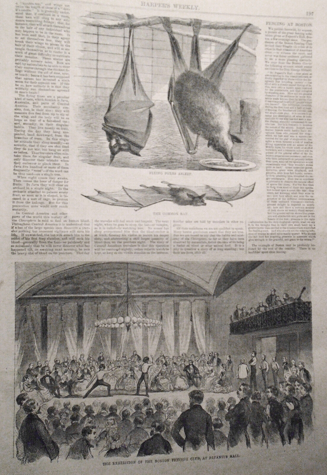 Harper's Weekly July 2, 1859:Adonis Wreck, Cuba Purchase, Fencing, Djeddah Execu