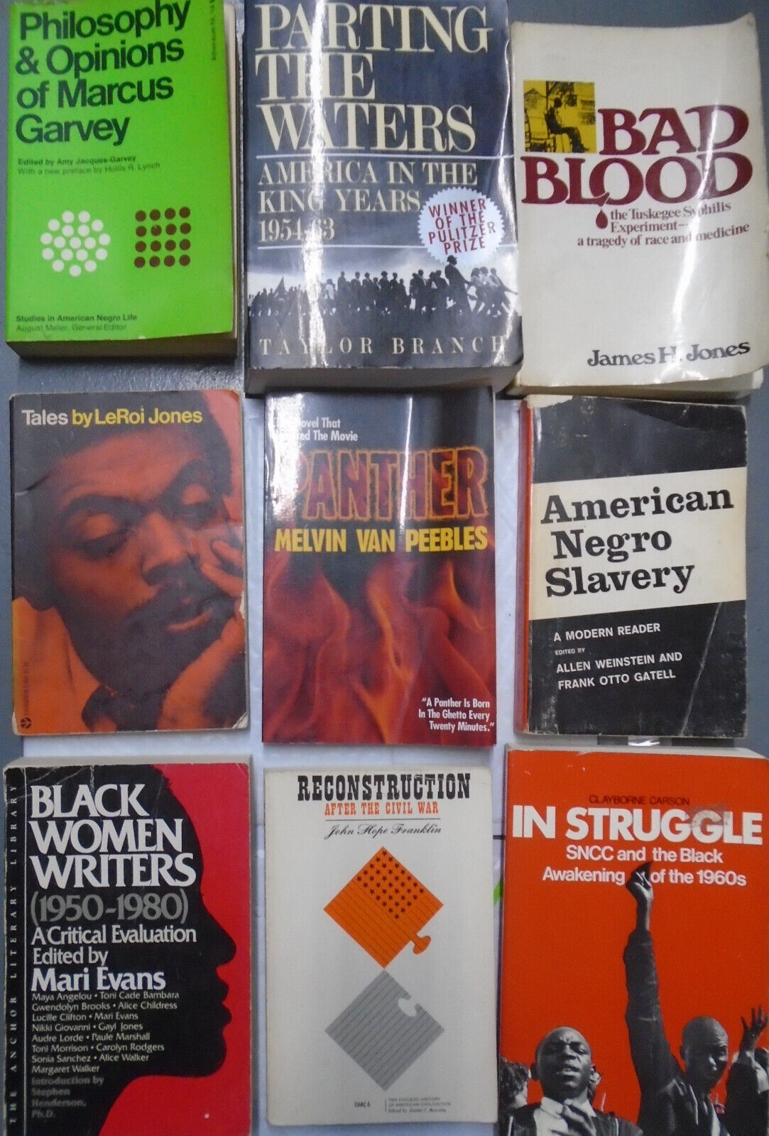 9 African-American history books - Marcus  Garvey, Leroi Jones, van Peebles, etc