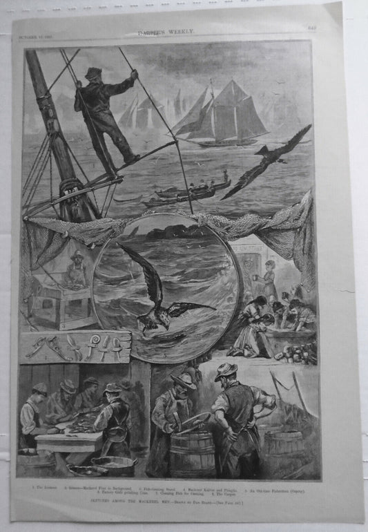 Sketches Among The Mackerel Men - Harper's Weekly - October 13, 1883