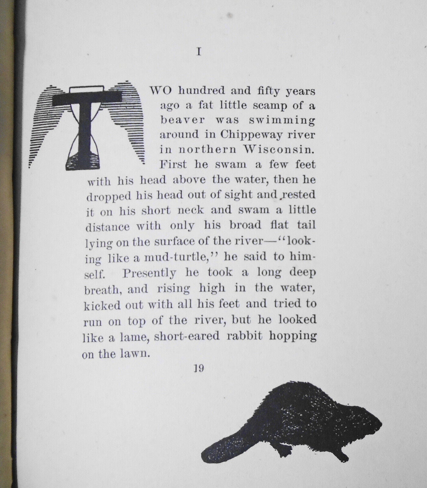 The Childhood Of Ji-shib, The Ojibwa by Albert Ernest Jenks. 1900 1st edition