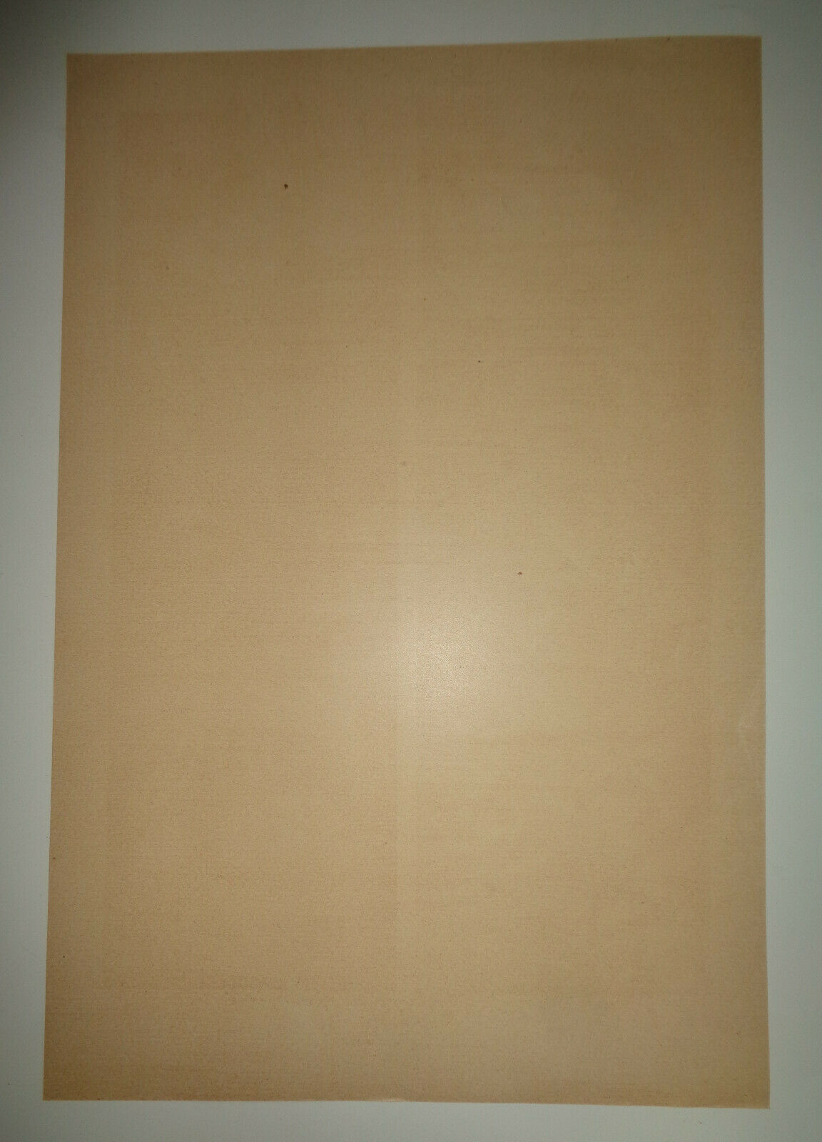 1904 DEKORATIVE VORBILDER VI - Von Julius Hoffman - Water Animals