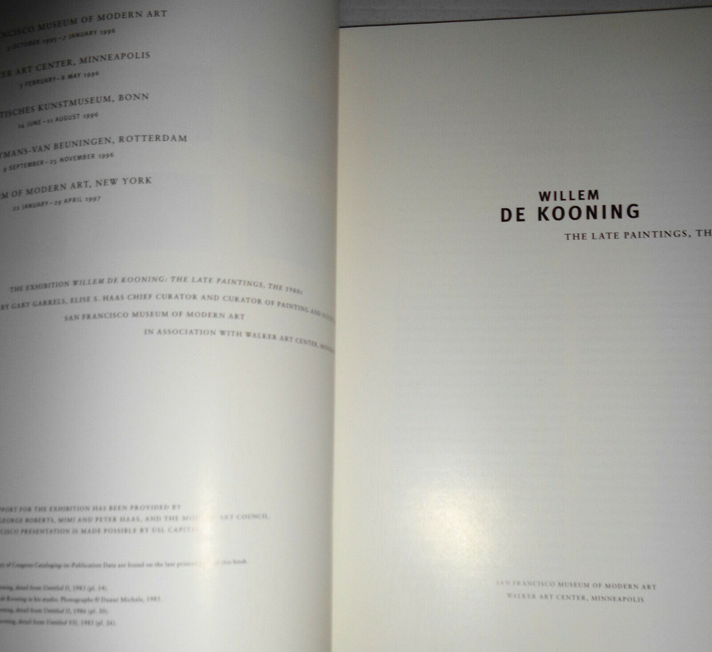 Willem De Kooning : The Late Paintings, the 1980's by Robert Storr and Gary...