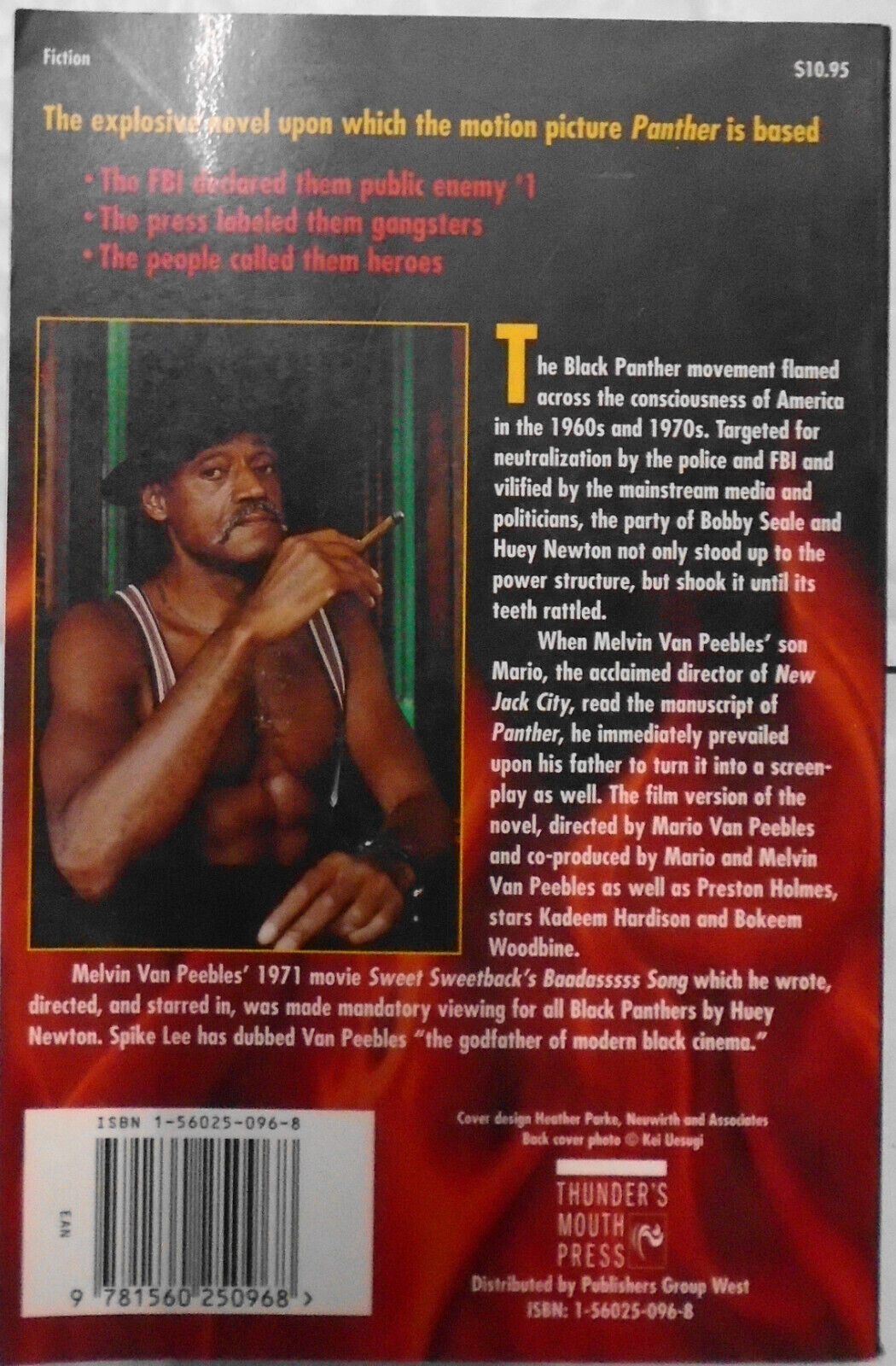 9 African-American history books - Marcus  Garvey, Leroi Jones, van Peebles, etc