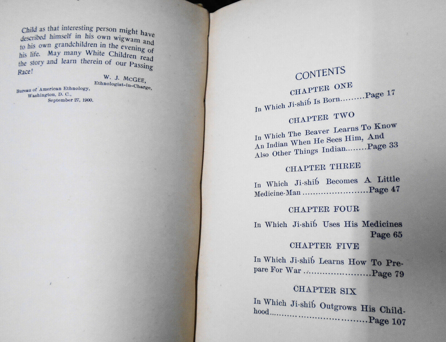 The Childhood Of Ji-shib, The Ojibwa by Albert Ernest Jenks. 1900 1st edition