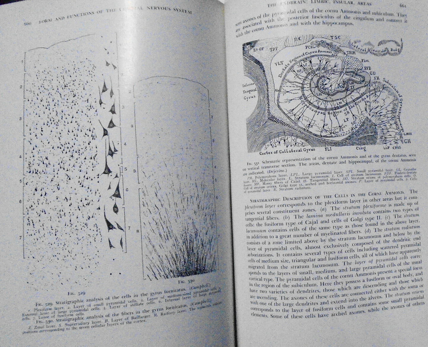 The Form And Functions Of The Central Nervous System. 1938 Tilney & Riley. HC.