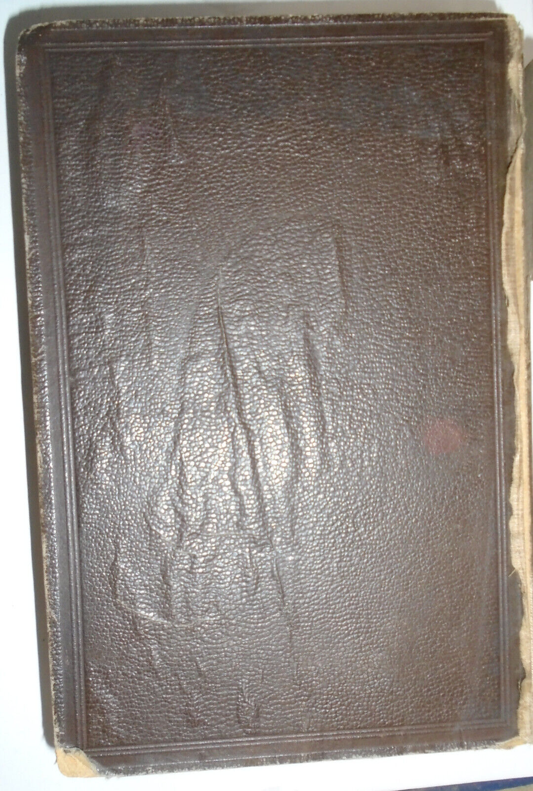 1894 A Latin Dictionary, Founded on Andrews' Edition of Freund's - Lewis & Short