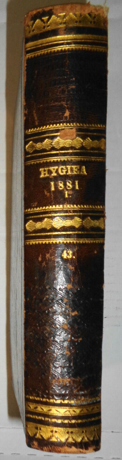 Hygiea. Medicinisk och pharmaceutisk manads-skrift. Jan - Dec 1881 Bd. 43