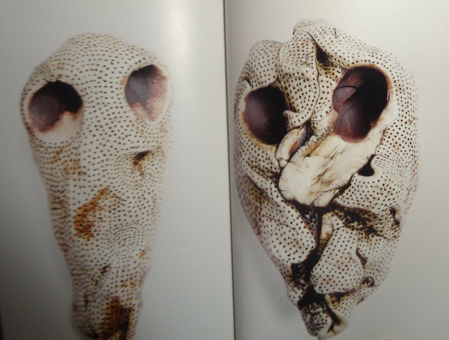 Michele Oka Doner - SoulCatchers - 2009. Mini-book of JF Chen Exhibition