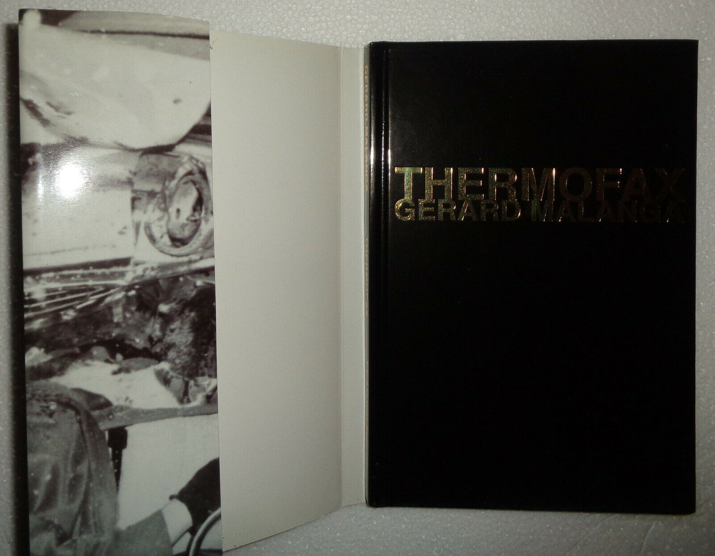 Gerard Malanga - Thermofax - [re: Andy Warhol "Death and Disaster"] New/New 2009