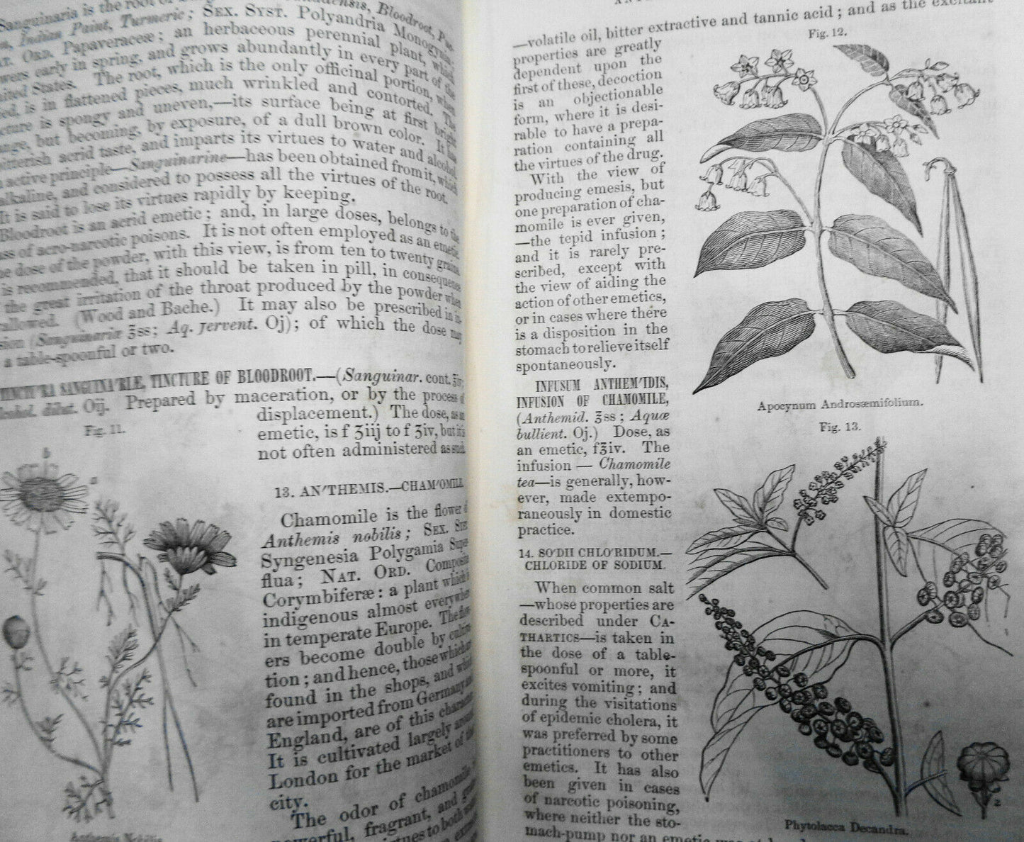 1857 GENERAL THERAPEUTICS AND MATERIA MEDICA, Volume 1 - by Robley Dunglison