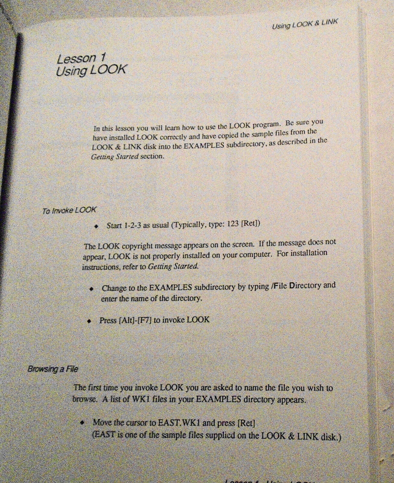Look & Link - Add-in for 1-2-3 Release 2.0, by Personics. 1988. 5 1/4" IBM.