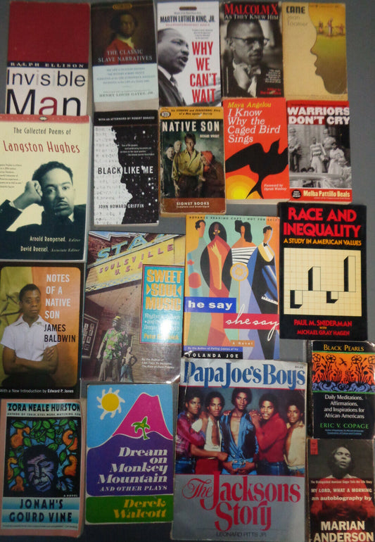 19 African-American books - Ellison Wright MLK Malcolm Baldwin Slave narratives