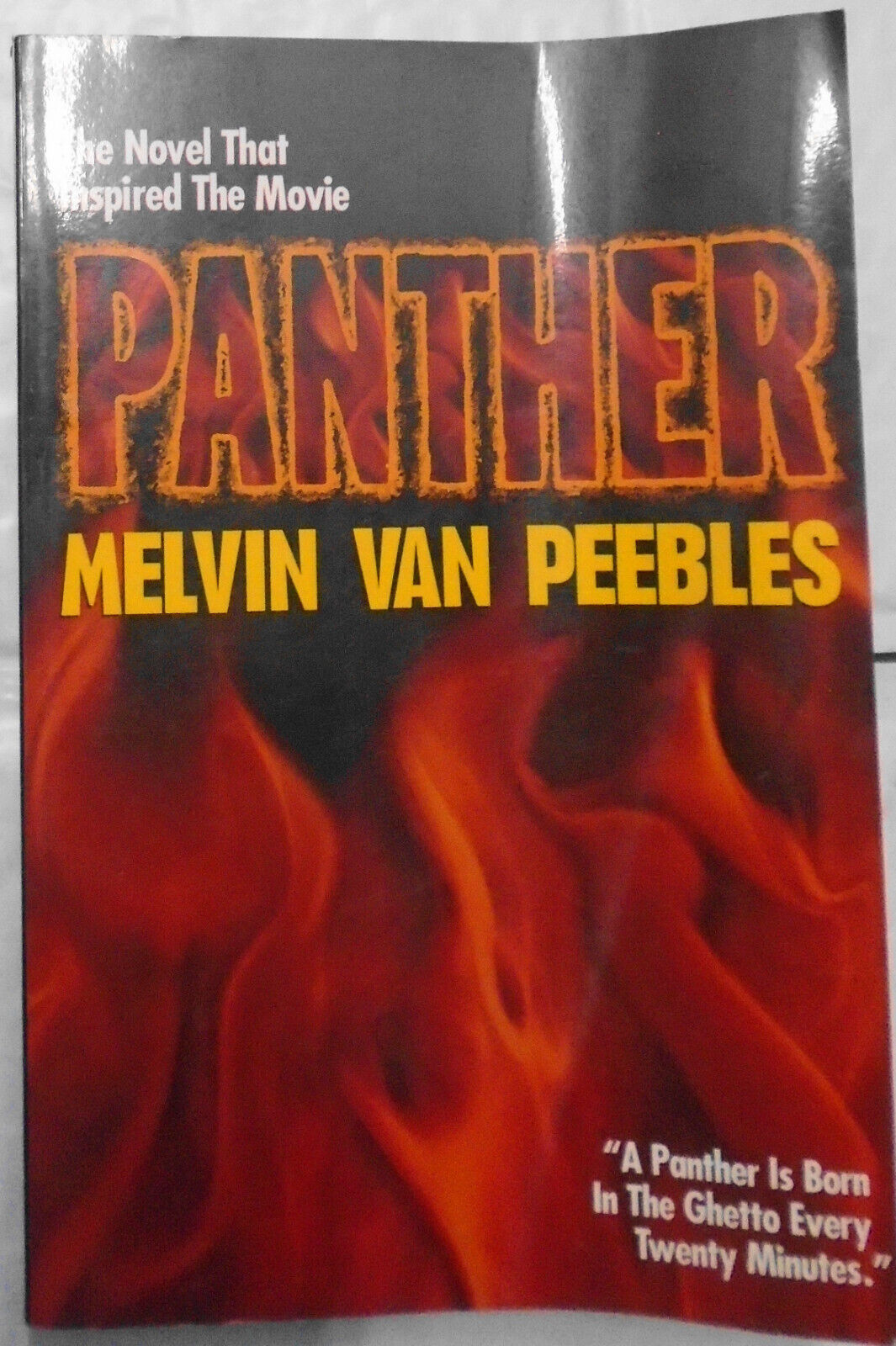 9 African-American history books - Marcus  Garvey, Leroi Jones, van Peebles, etc