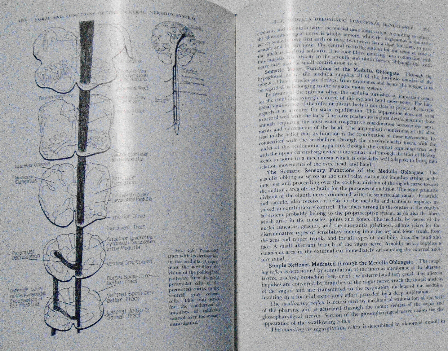 The Form And Functions Of The Central Nervous System. 1938 Tilney & Riley. HC.