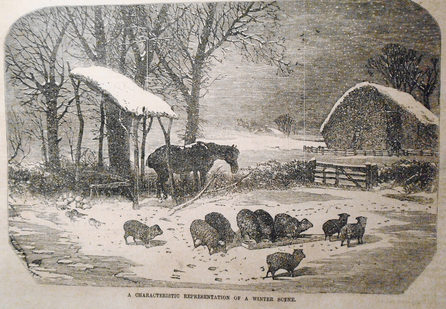 Spalding & Roger's Floating Circus Palace - Gleason's Pictorial, 1853