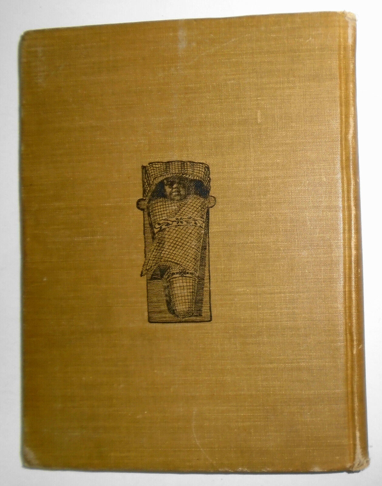 The Childhood Of Ji-shib, The Ojibwa by Albert Ernest Jenks. 1900 1st edition