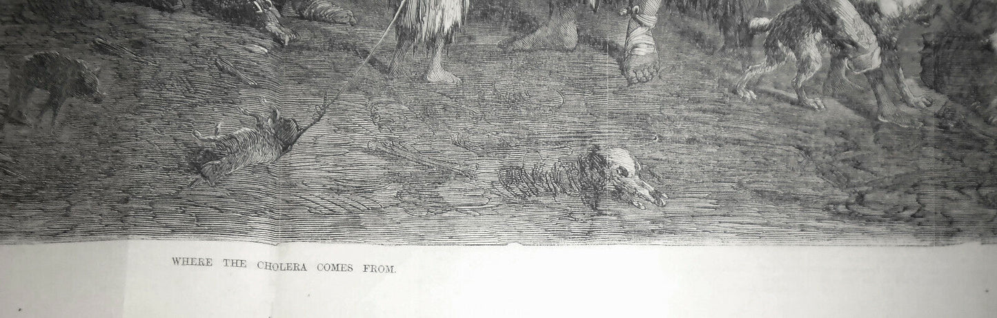 Where the Cholera Comes From, Frank Leslie's, December 2, 1865