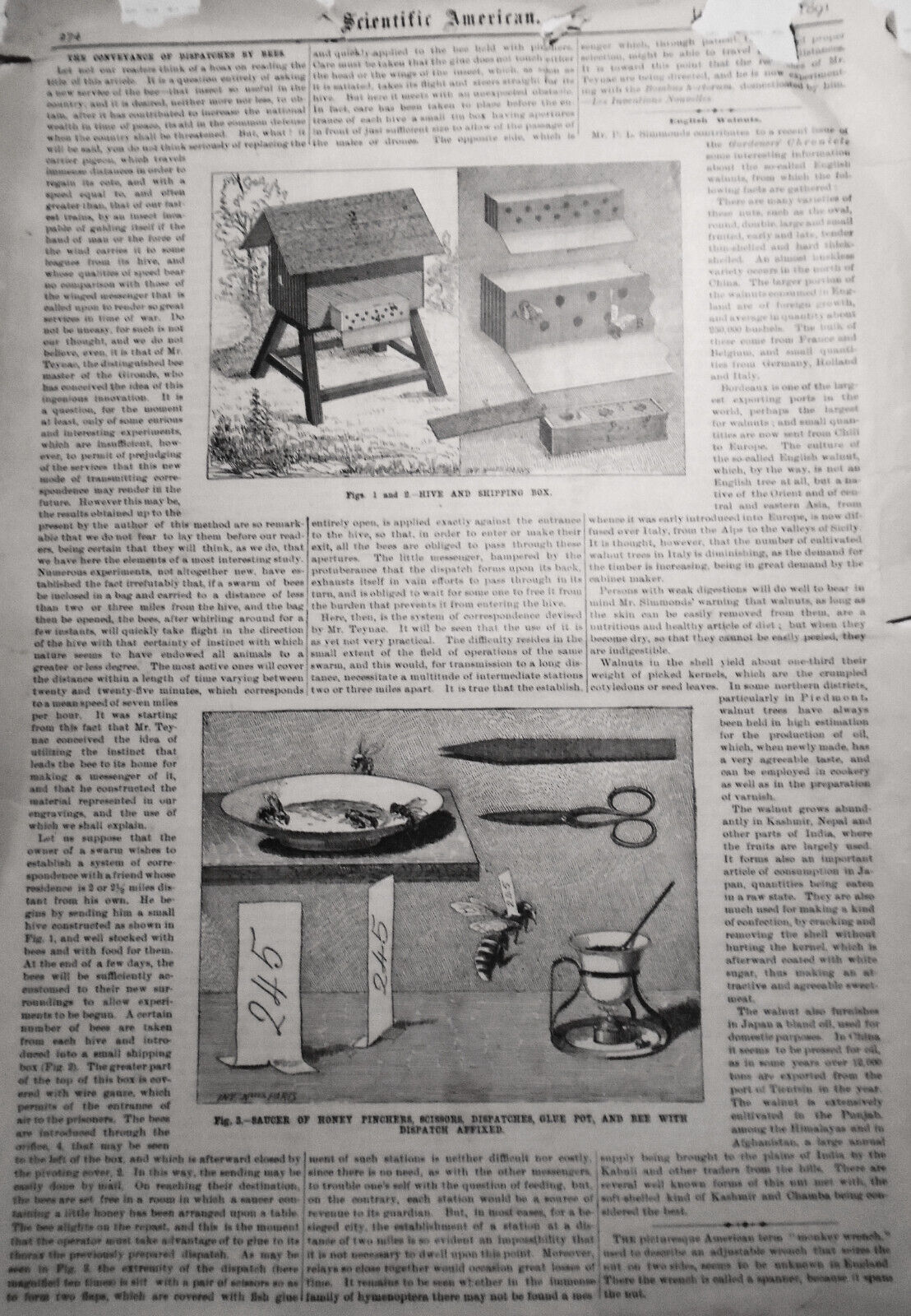 Harper's Weekly December 5, 1863 - Civil War; Ballooning; Thanksgiving Day, etc