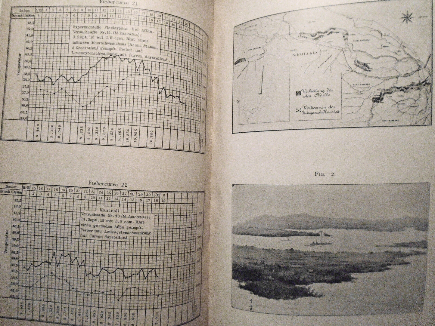 Tsutsugamushi-krankheit - Kitashima/Miyajima 1918. Signed by Clifford Dobell