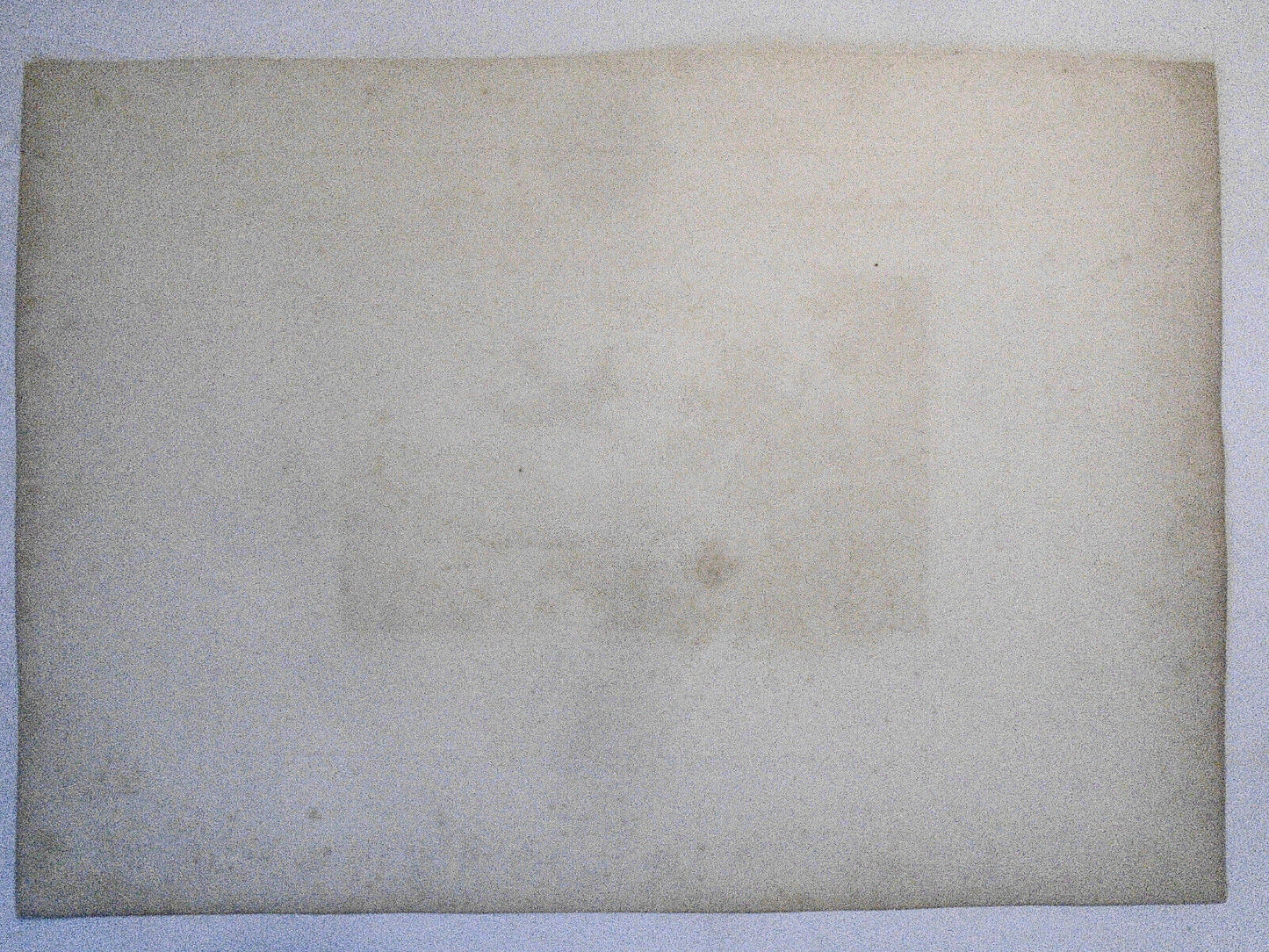 1809 Passenger Pigeon, by William Daniell