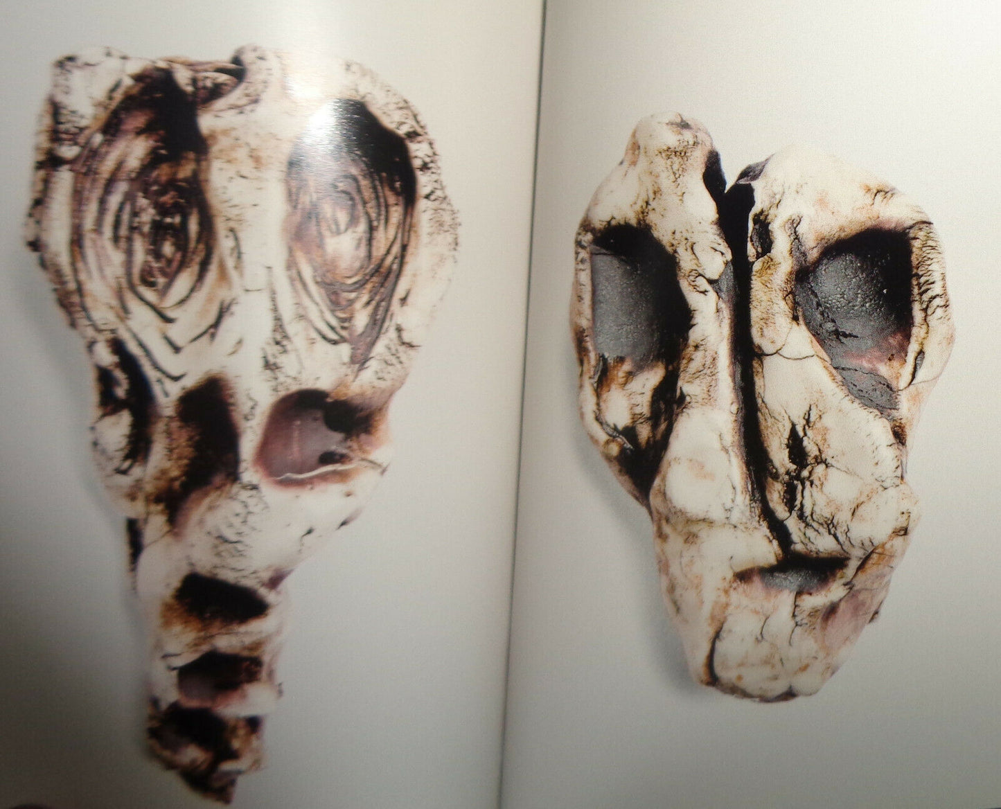 Michele Oka Doner - SoulCatchers - 2009. Mini-book of JF Chen Exhibition