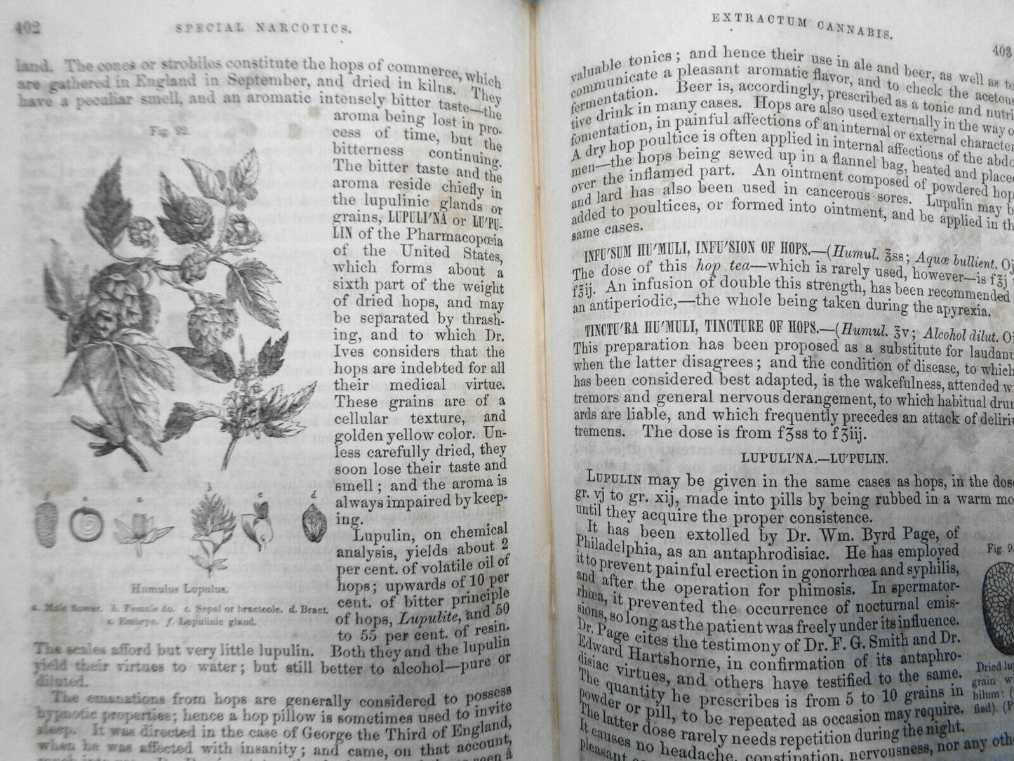 1857 GENERAL THERAPEUTICS AND MATERIA MEDICA, Volume 1 - by Robley Dunglison